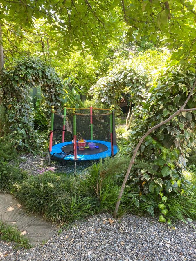 Гостевой дом  Green garden Сухум Экстерьер фото